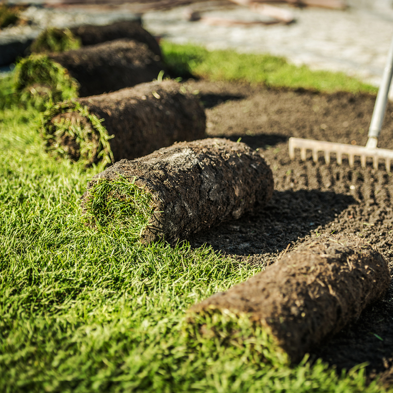 Sodding, Seeding, & Black Dirt